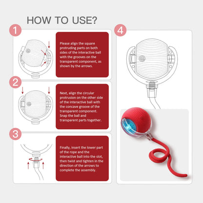 Interactive Cat & Dog Teaser Toy Ball