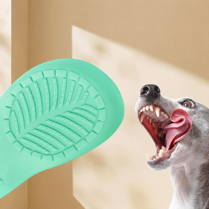 Squeaky Chew Slipper Toy for Dogs