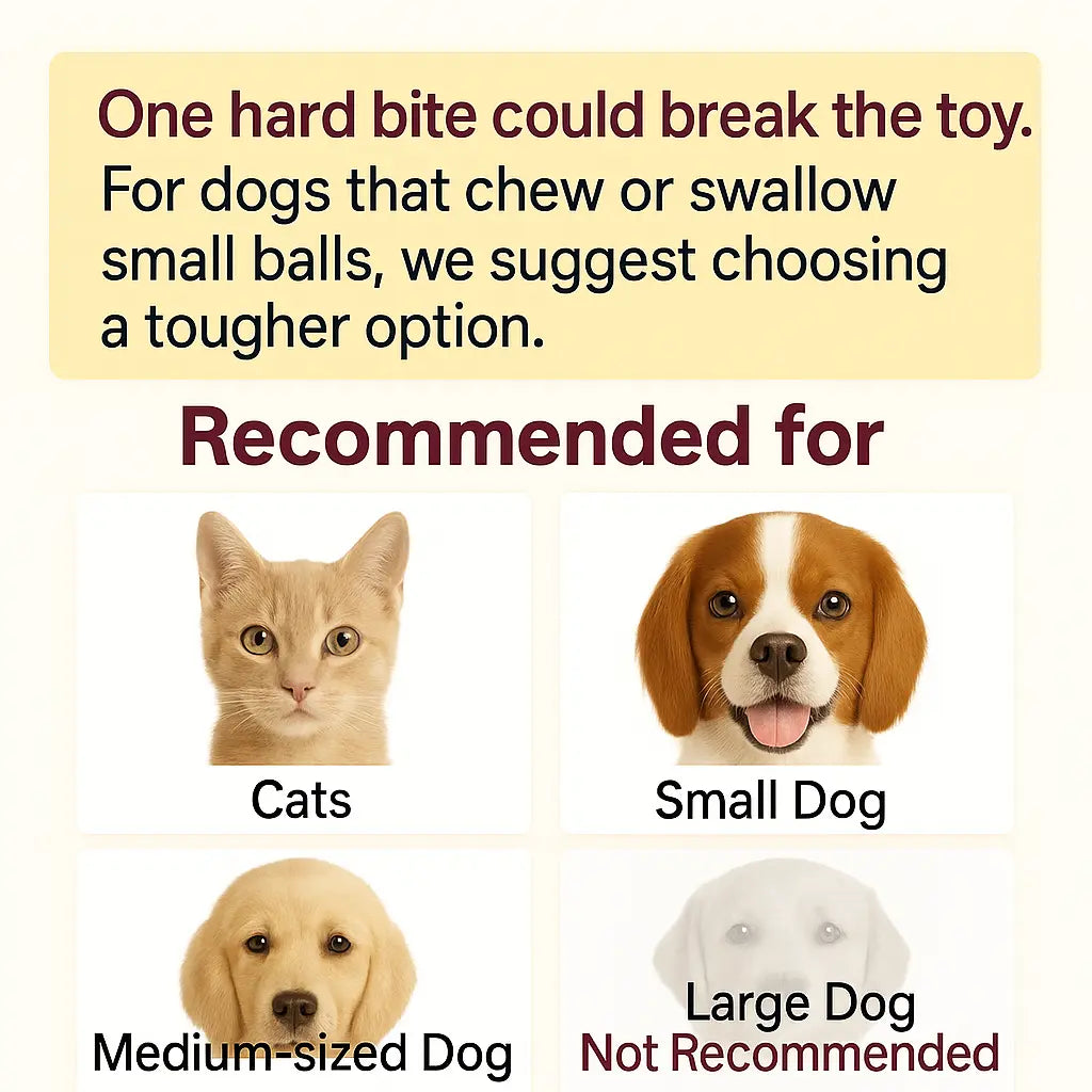 Interactive Cat & Dog Teaser Toy Ball