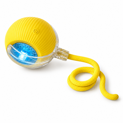 Interactive Cat & Dog Teaser Toy Ball