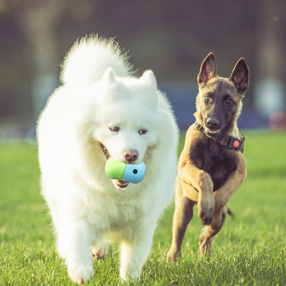 🐶 Silicone Dog Treat Dispensing Toy – Interactive Slow Feeder Chew Ball