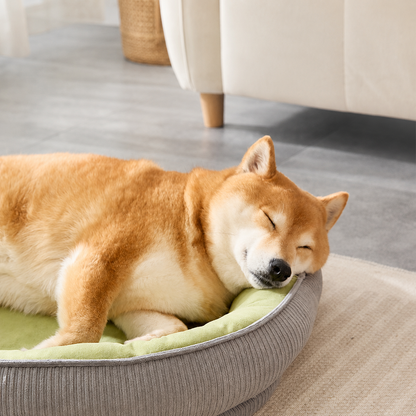 Cozy All-Season Pet Bed for Dogs & Cats