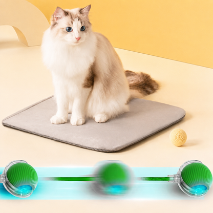 🐱 Smart Interactive Cat Ball – Automatic Rolling Cat Toy
